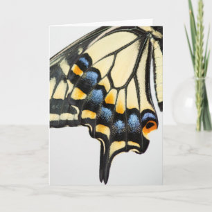 Swallowtail Butterfly Blank Greeting Card