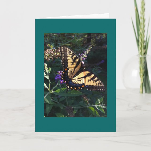 Swallowtail Butterfly Card (Front)