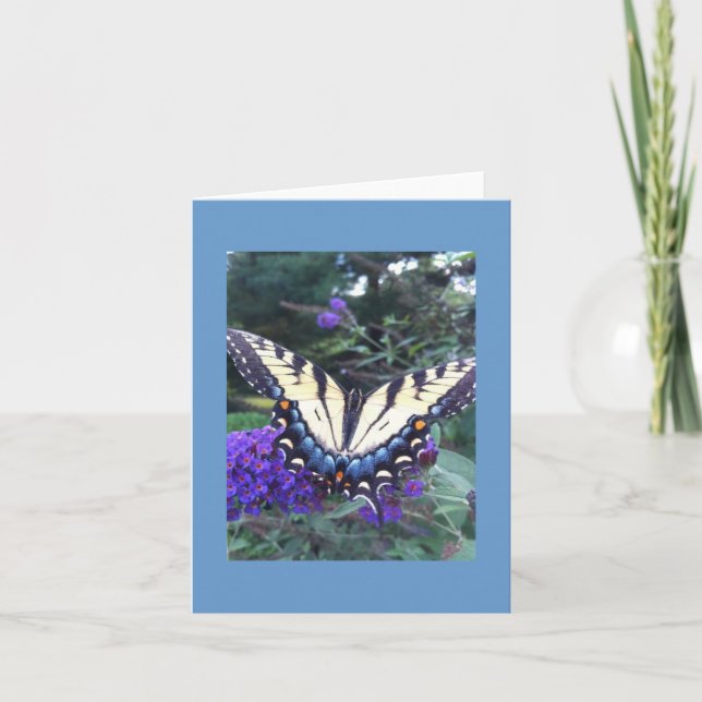 Swallowtail Butterfly Card 2 (Front)