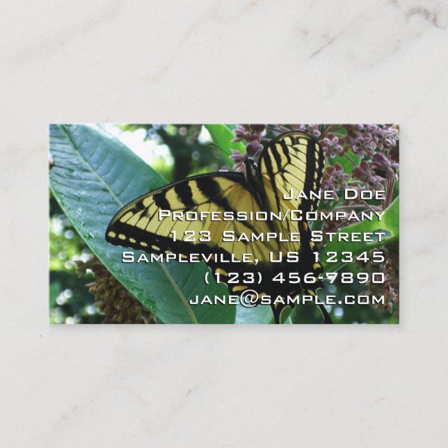 Swallowtail Butterfly I on Milkweed at Shenandoah Business Card (Front)