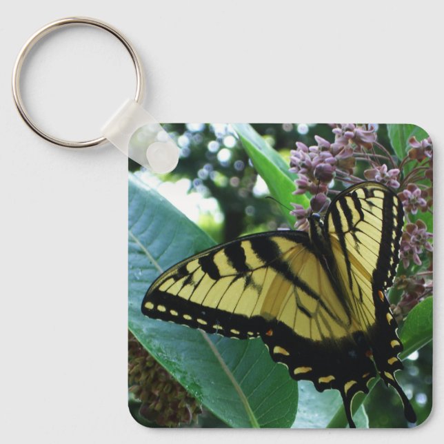 Swallowtail Butterfly I on Milkweed at Shenandoah Key Ring (Front)