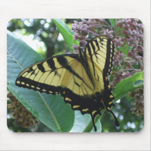 Swallowtail Butterfly I on Milkweed at Shenandoah Mouse Mat