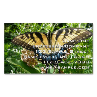 Swallowtail Butterfly II at Shenandoah Magnetic Business Card