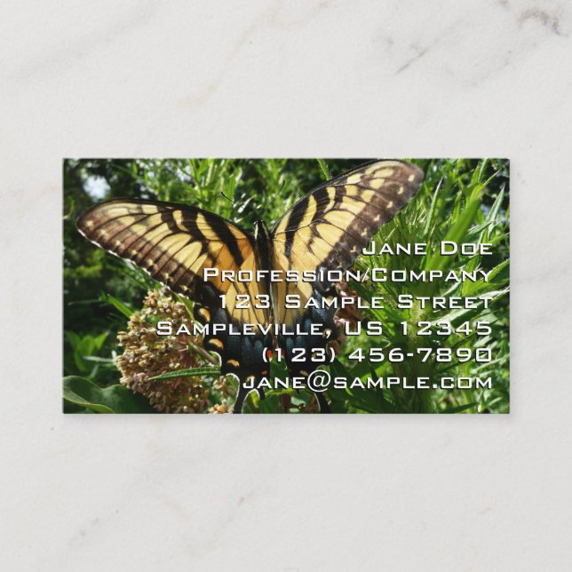 Swallowtail Butterfly III Beautiful Colourful Phot Business Card (Front)