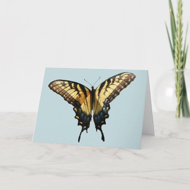 Swallowtail Butterfly III Beautiful Colourful Phot Card (Front)