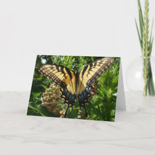 Swallowtail Butterfly III Beautiful Colourful Phot Card