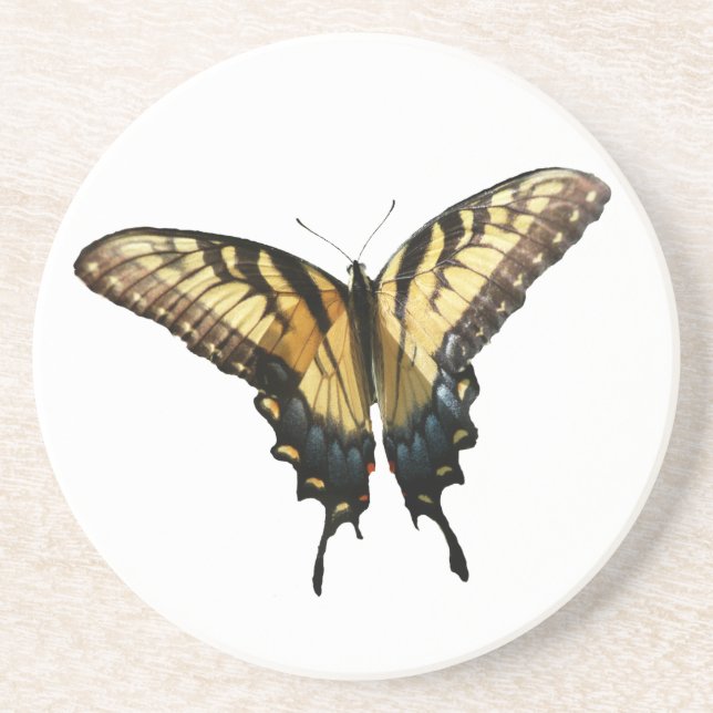 Swallowtail Butterfly III Beautiful Colourful Phot Coaster (Front)