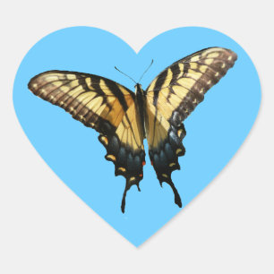 Swallowtail Butterfly III Beautiful Colourful Phot Heart Sticker