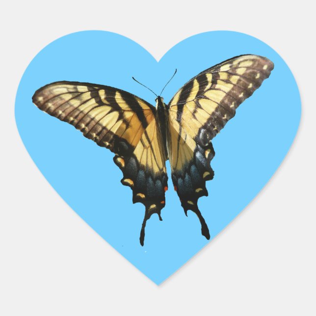 Swallowtail Butterfly III Beautiful Colourful Phot Heart Sticker (Front)