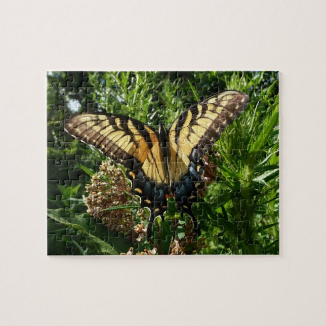 Swallowtail Butterfly III Beautiful Colourful Phot Jigsaw Puzzle (Horizontal)