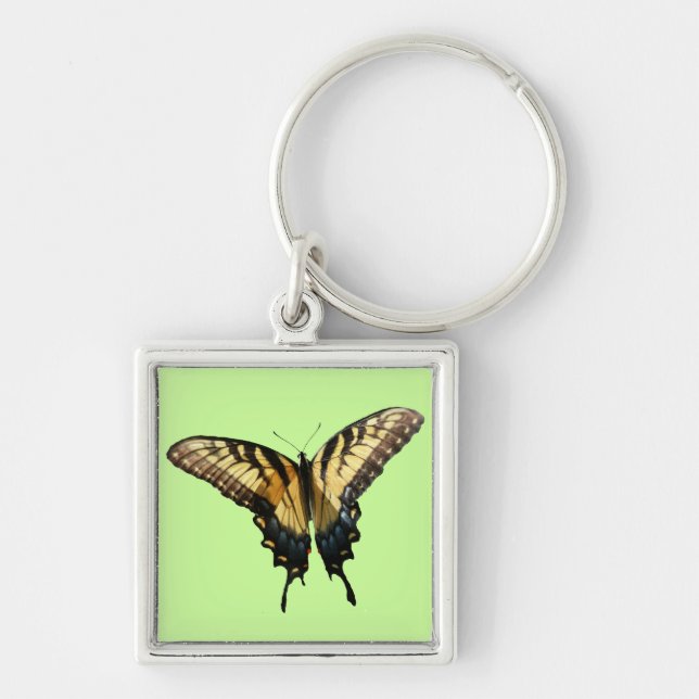 Swallowtail Butterfly III Beautiful Colourful Phot Key Ring (Front)