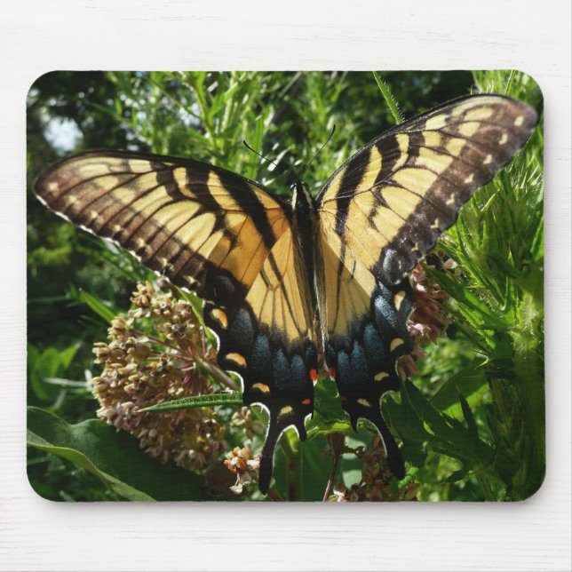 Swallowtail Butterfly III Beautiful Colourful Phot Mouse Mat (Front)