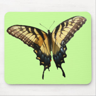 Swallowtail Butterfly III Beautiful Colourful Phot Mouse Mat