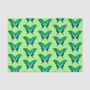 Swallowtail Butterfly in Green, Turquoise & Black Tissue Paper