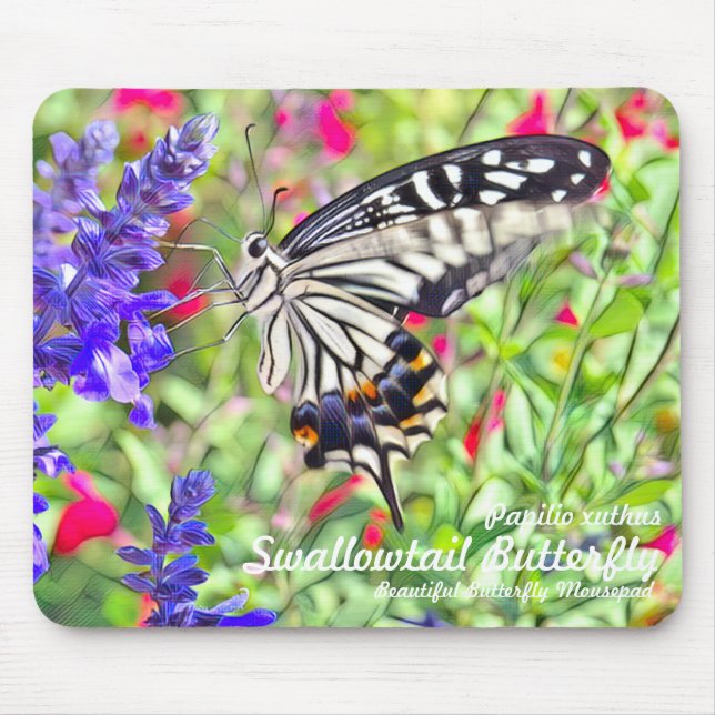 Swallowtail Butterfly Mouse Mat (Front)