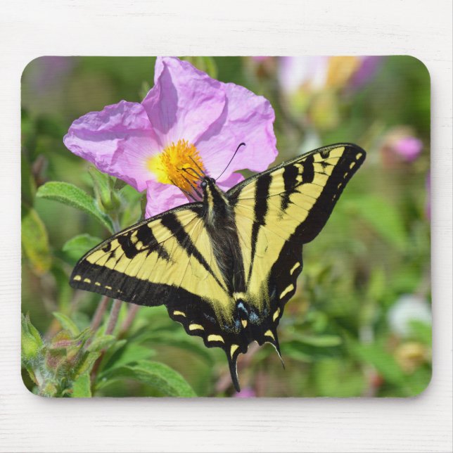 Swallowtail butterfly mouse mat (Front)