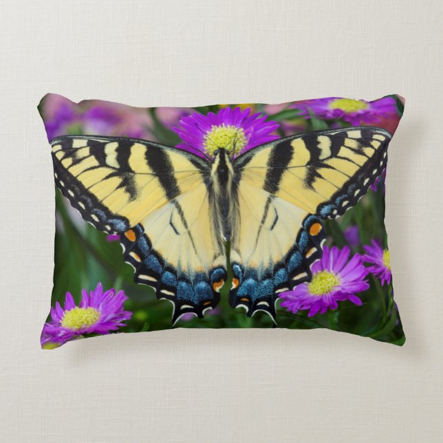 Swallowtail Butterfly on daisy Decorative Cushion (Front)