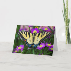 Swallowtail Butterfly on daisy Holiday Card