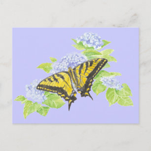 Swallowtail Butterfly on Hydrangea Flower art Postcard