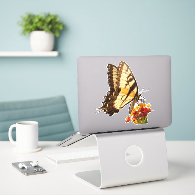 Swallowtail butterfly on milkweed flower (Laptop On Desk)