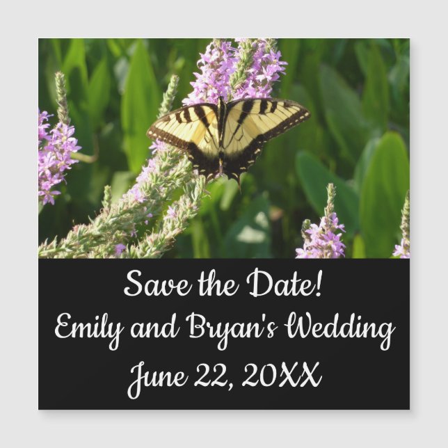 Swallowtail Butterfly on Purple Wildflowers (Front)