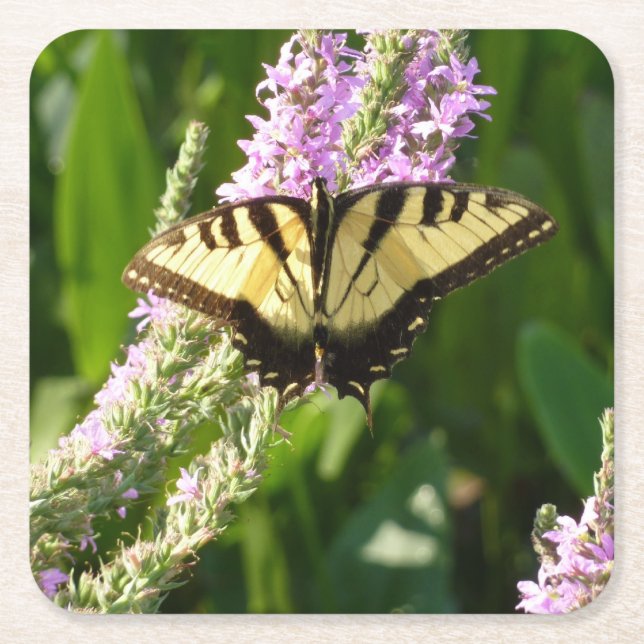 Swallowtail Butterfly on Purple Wildflowers Square Paper Coaster (Front)