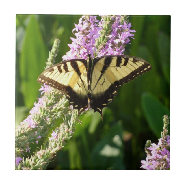 Swallowtail Butterfly on Purple Wildflowers Tile (Front)