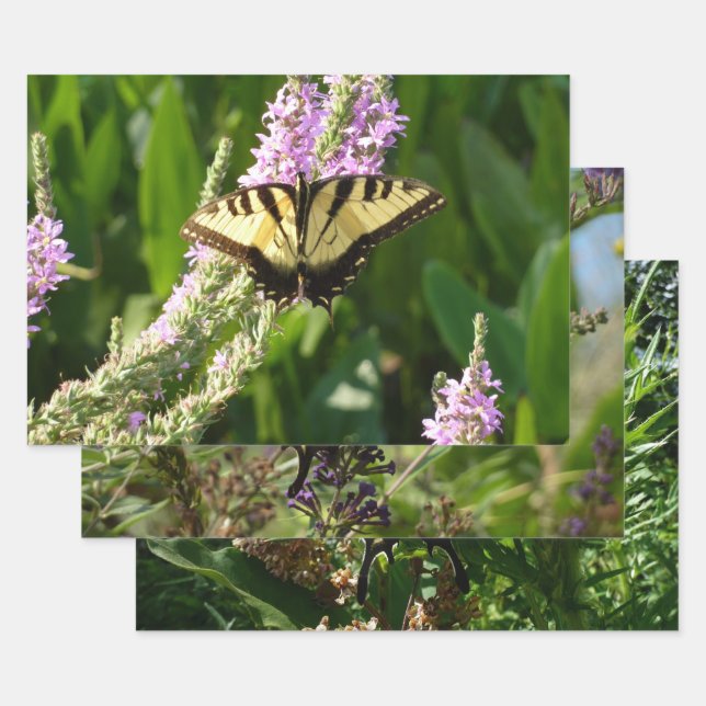 Swallowtail Butterfly on Purple Wildflowers Wrapping Paper Sheet (Set)