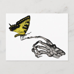 Swallowtail butterfly postcard