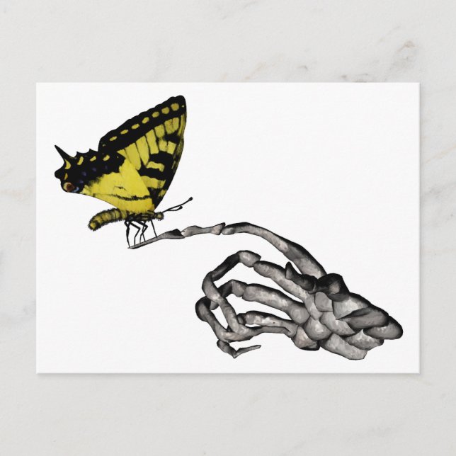 Swallowtail butterfly postcard (Front)
