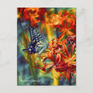 Swallowtail Butterfly：Postcard Postcard