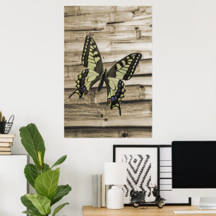 Swallowtail butterfly poster