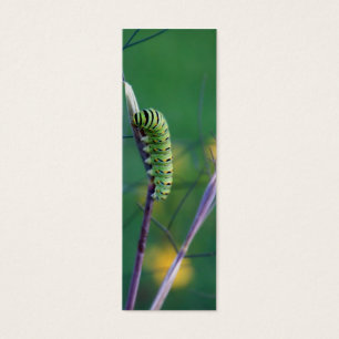 Swallowtail Cat Science Bookmark