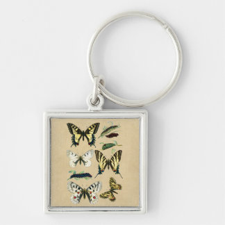 Swallowtail Caterpillars, Butterflies and Moths Key Ring
