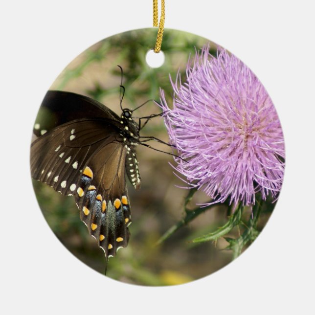 Swallowtail on Thistle Ceramic Tree Decoration (Front)
