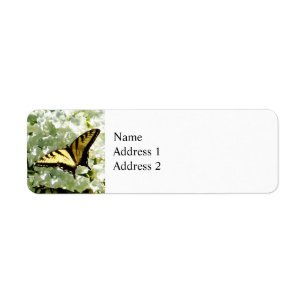 Swallowtail on White Hydrangea