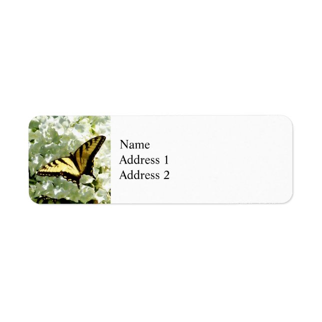 Swallowtail on White Hydrangea (Front)