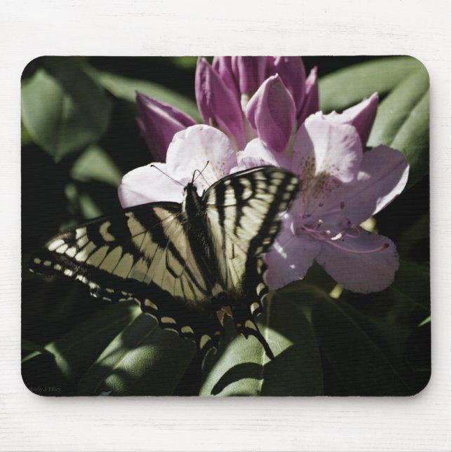 Swallowtail & Rhododendron Mousepad (Front)