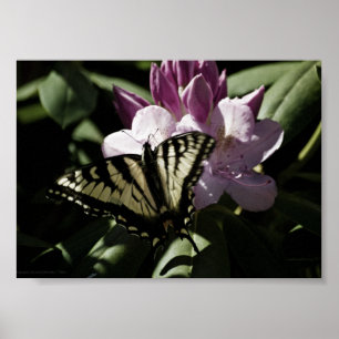 Swallowtail & Rhododendron Print