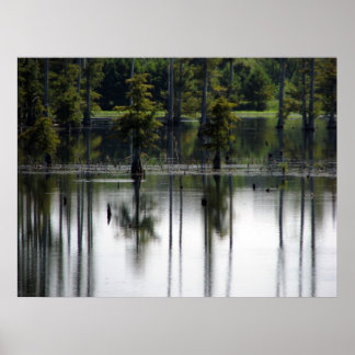 Swamp land poster