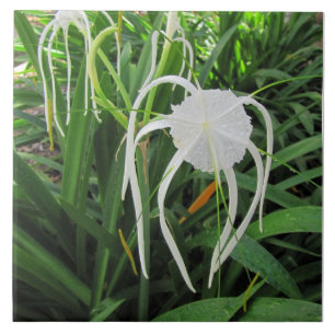 Swamp Lily Ceramic Tile Trivet 6 x6