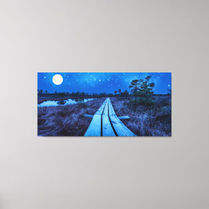 Swamp night canvas print