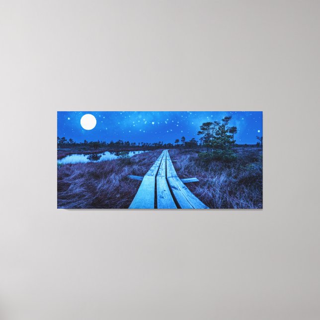 Swamp night canvas print (Front)