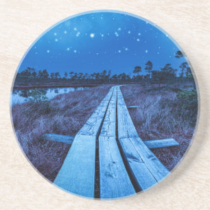 Swamp night coaster