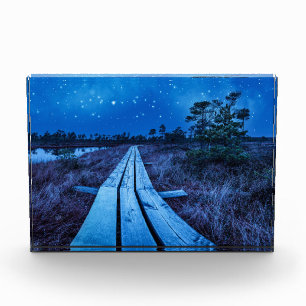 Swamp night photo block