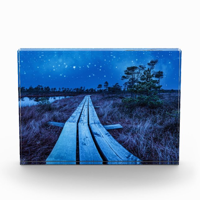 Swamp night photo block (Front)