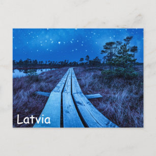 Swamp night postcard