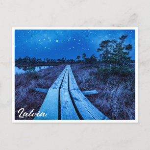 Swamp night postcard