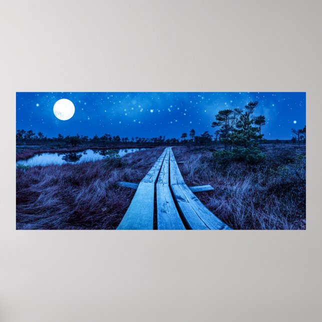 Swamp night poster (Front)