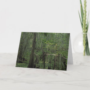 Swamp Serenity Custom Louisiana Greeting Card